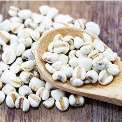 Raw Materials for Supplements | Trading company imports, exports, sells supplement materials, spice materials, health foods Pharmalab International Co., Ltd.