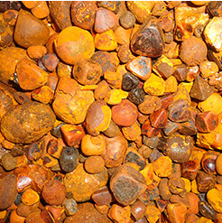 Natural Medicine Additives | Trading company imports, exports, sells supplement materials, spice materials, health foods Pharmalab International Co., Ltd.
