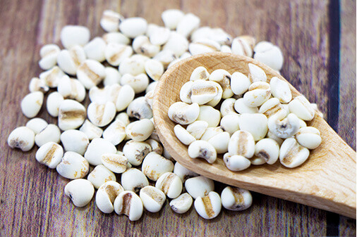 Raw Materials for Supplements